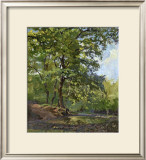 Summer Breeze Framed Art Print