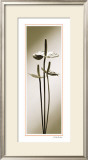 Buy Anthurium at AllPosters.com