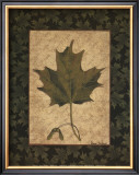 Buy Sugar Maple Leaf at AllPosters.com