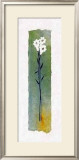 Buy Daisies on Green Wash Papyrus at AllPosters.com