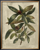 Buy Deshayes Tree III at AllPosters.com