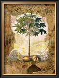 Buy Lace and Papaya at AllPosters.com