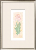 Buy Iris Soliloquy I at AllPosters.com