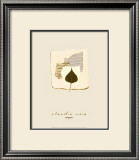 Buy Aspen at AllPosters.com