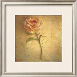 Buy Little Anemone at AllPosters.com
