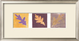 Buy Leaf Impressions II at AllPosters.com