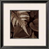 Buy Painted Ferns I at AllPosters.com