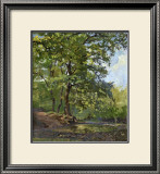 Summer Breeze Framed Art Print
