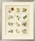 Buy Surrey Garden Fragments at AllPosters.com