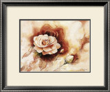Buy Rose Shadow II at AllPosters.com