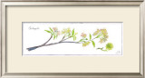 Buy Crabapple Branch at AllPosters.com