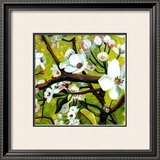 Blossom Lullaby III