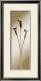 Buy Calla at AllPosters.com