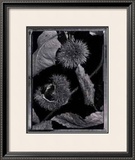 Buy Chestnuts at AllPosters.com