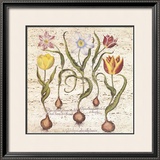 Travertine Botanicals I