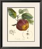 Buy Apples at AllPosters.com