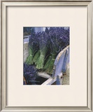 Buy Lavender Harvest at AllPosters.com