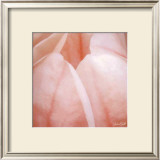 Buy Tulip Trio I at AllPosters.com