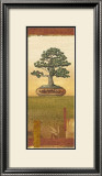 Bonsai I