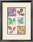 Buy Leaf Impressions at AllPosters.com