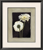 Buy Flora II at AllPosters.com