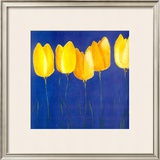 Buy Yellow Tulips at AllPosters.com