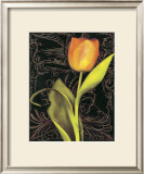 Buy Tulip Manuscript II at AllPosters.com