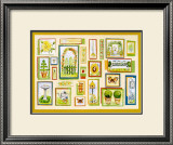 Summer Garden