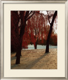 Buy Autumn Snow I at AllPosters.com