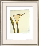 Buy Arum, c.2003 at AllPosters.com