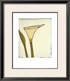 Buy Arum, c.2003 at AllPosters.com