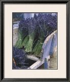Buy Lavender Harvest at AllPosters.com