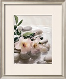 Buy Spring Retreat III at AllPosters.com