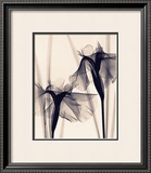 Buy Japanese Iris at AllPosters.com
