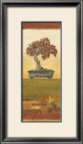 Bonsai IV