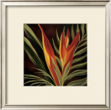 Buy Birds of Paradise II at AllPosters.com