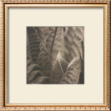 Buy Moonglow II at AllPosters.com