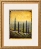Buy Morning Path II at AllPosters.com