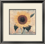 Buy Sunflower at AllPosters.com