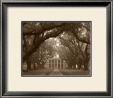 Buy Oak Alley at AllPosters.com