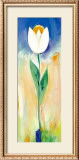 Buy Single White and Orange Tulip at AllPosters.com
