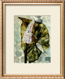 Buy Amazoni III at AllPosters.com