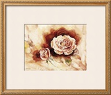 Buy Rose Shadow I at AllPosters.com