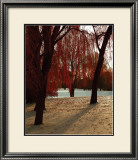 Buy Autumn Snow I at AllPosters.com