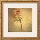 Buy Little Anemone at AllPosters.com