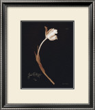 Buy Tulip at AllPosters.com