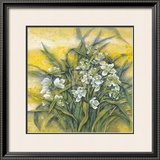 Buy White Orchids at AllPosters.com