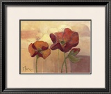 Buy Poppy Dream at AllPosters.com