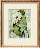 Buy Amazonia I at AllPosters.com