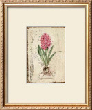 Buy Pink Hyacinth at AllPosters.com